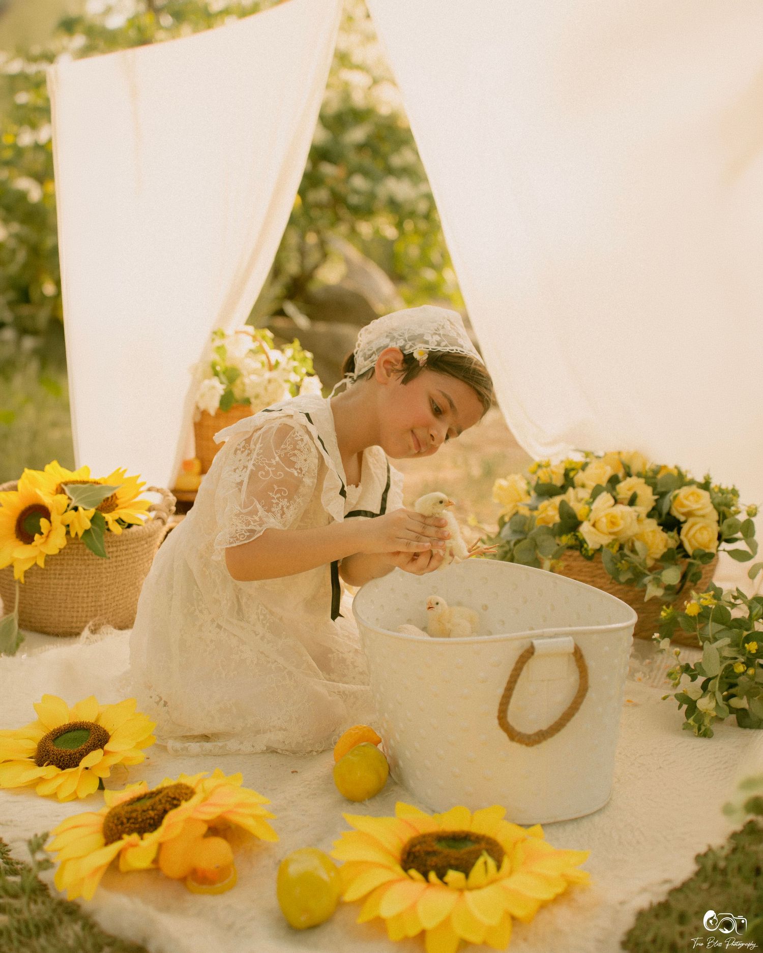 A young girl in a white lace dress tends to ducklings in a bucket, surrounded by sunflowers and yellow roses outdoors.