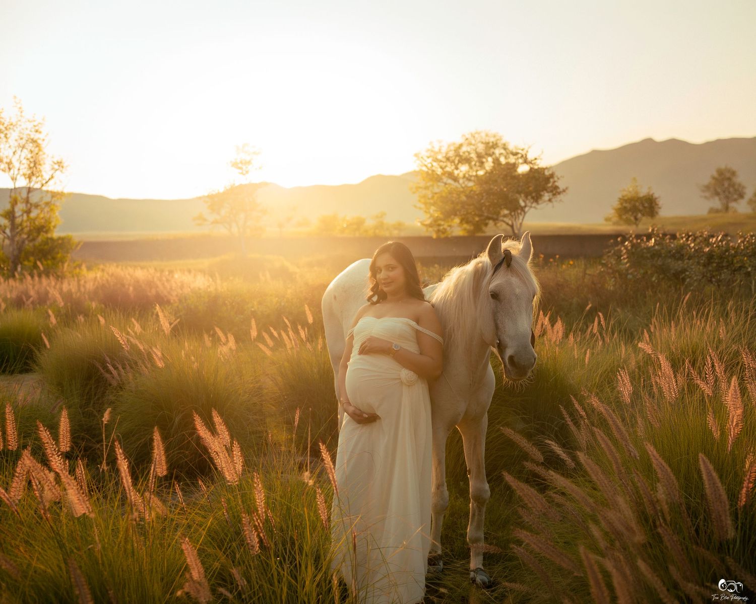Pregnant woman in white dress standing with white horse in golden field at sunset with mountains in background.