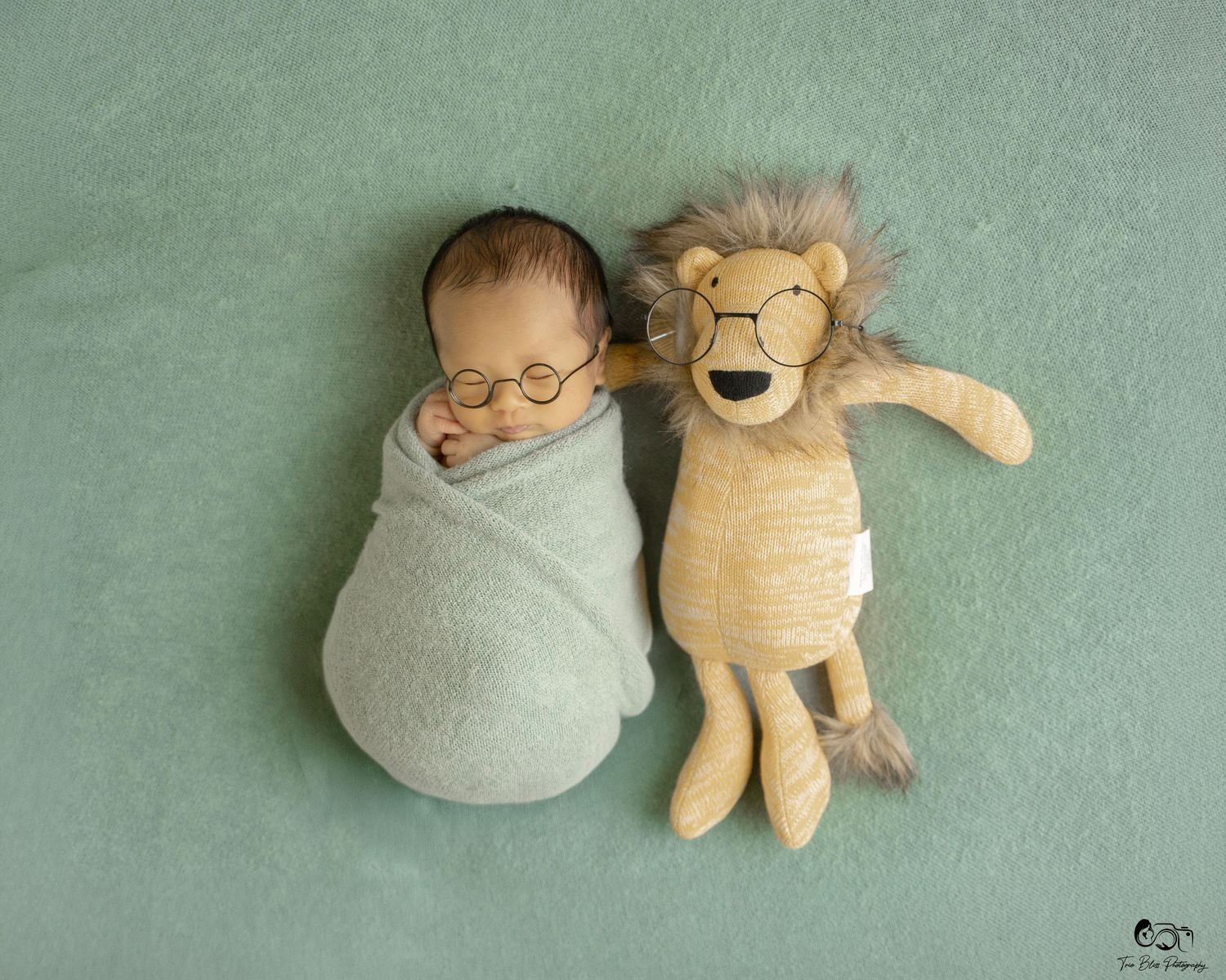 Newborn baby swaddled in gray wrap with tiny glasses beside a matching lion stuffed animal on a teal background.