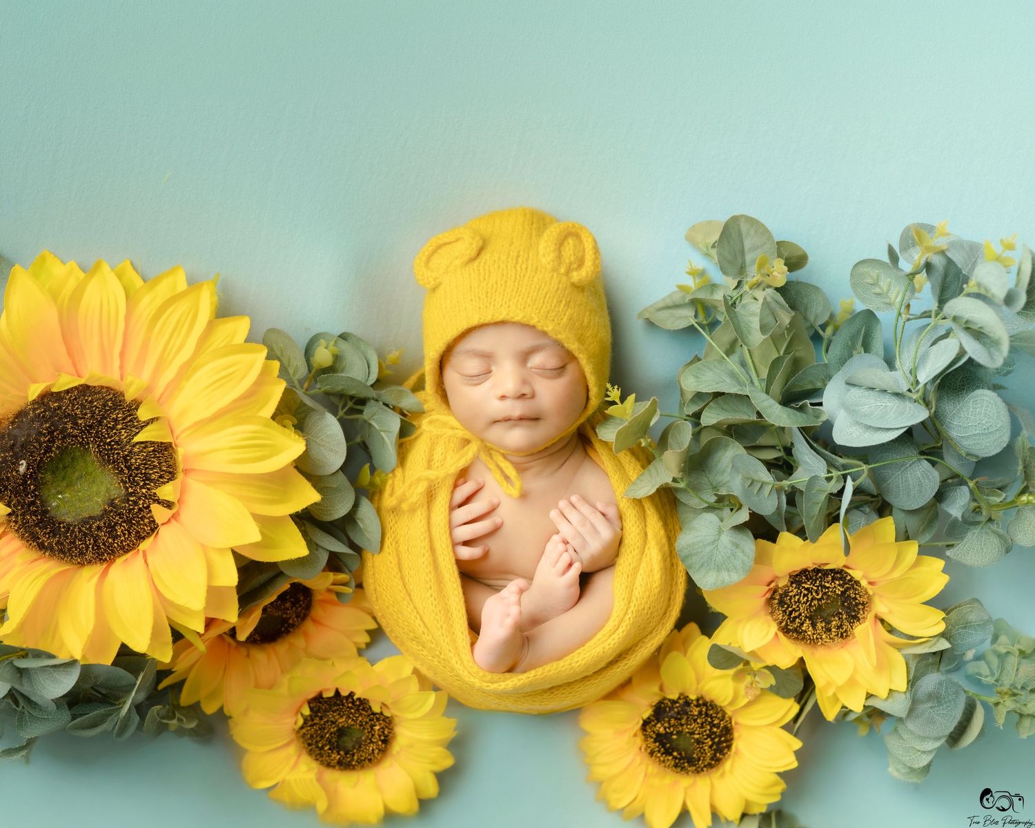 Newborn baby wrapped in yellow swaddle and hat, surrounded by sunflowers and eucalyptus on teal background.