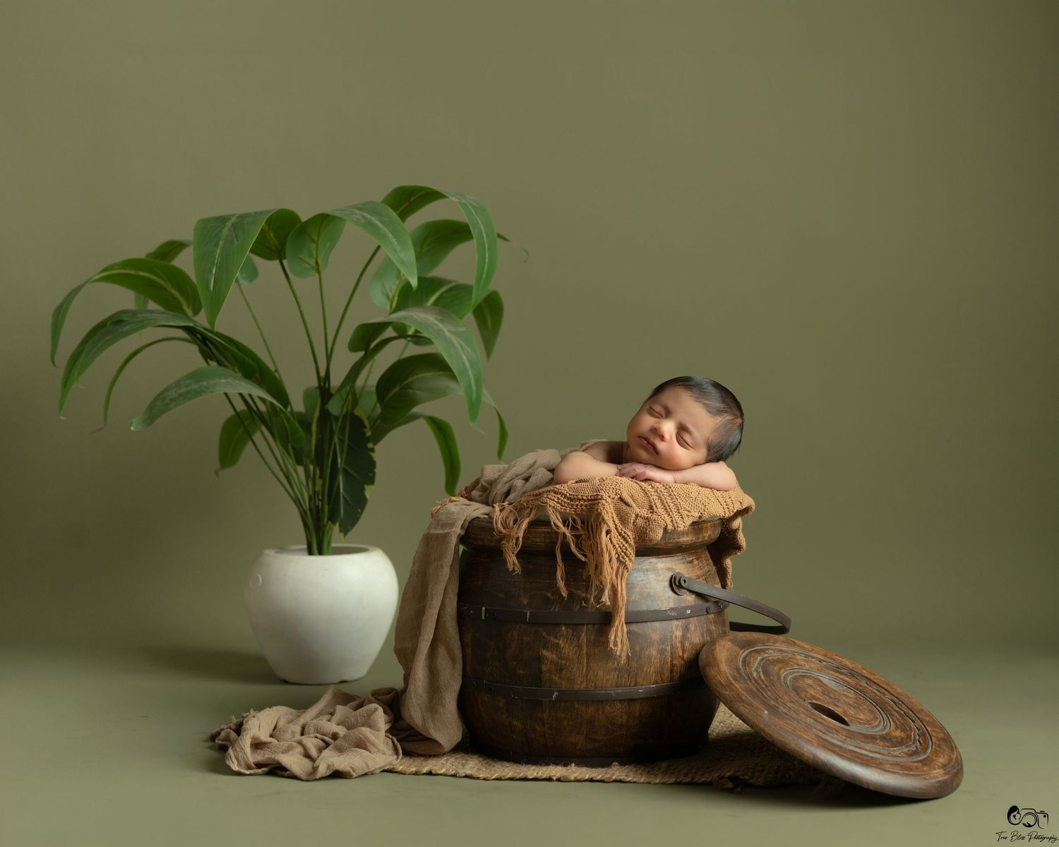 Newborn baby sleeping peacefully inside a rustic wooden pot beside a green plant on an olive background.