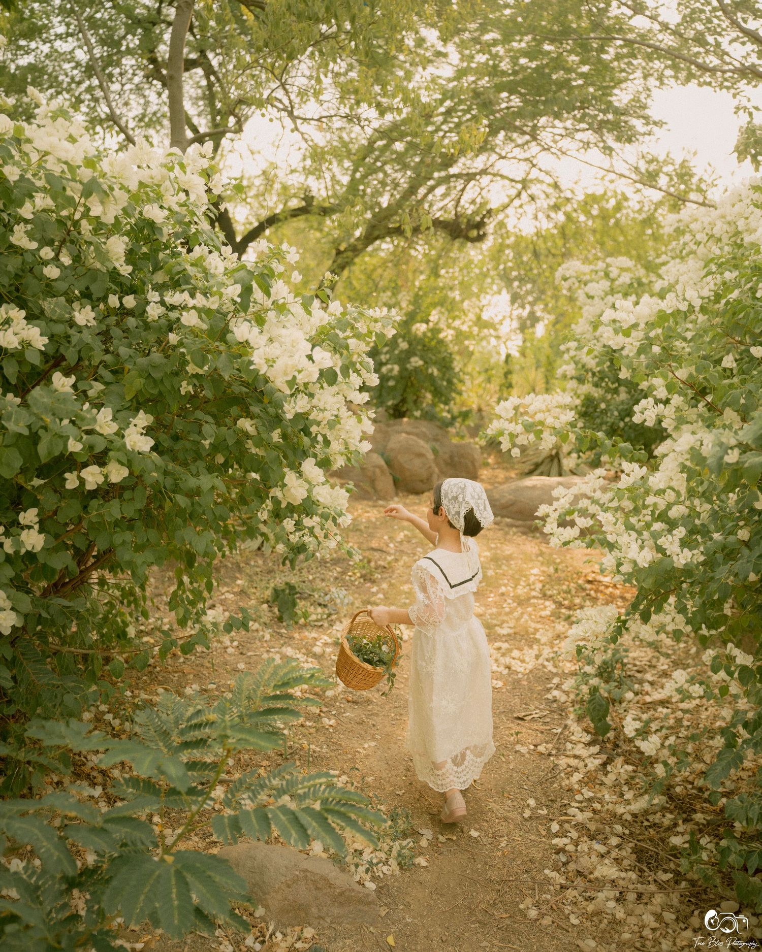 A young girl in a white dress and bonnet carries a wicker basket along a lush garden path lined with white blooms.