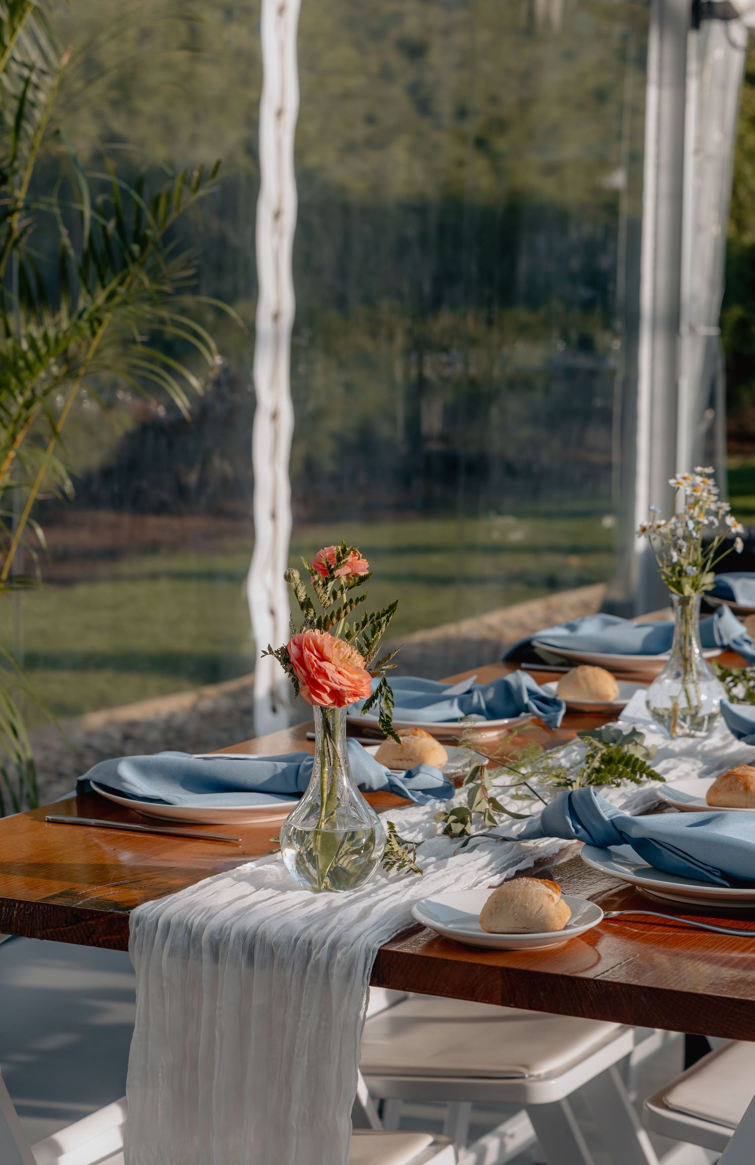 Elegant table setting with blue napkins and natural decor on wooden table by sunlit window.