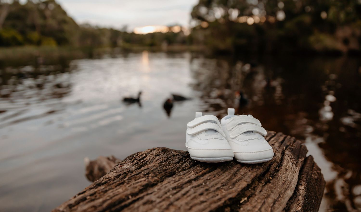 White baby shoes placed on weathered log by tranquil lake at sunset.