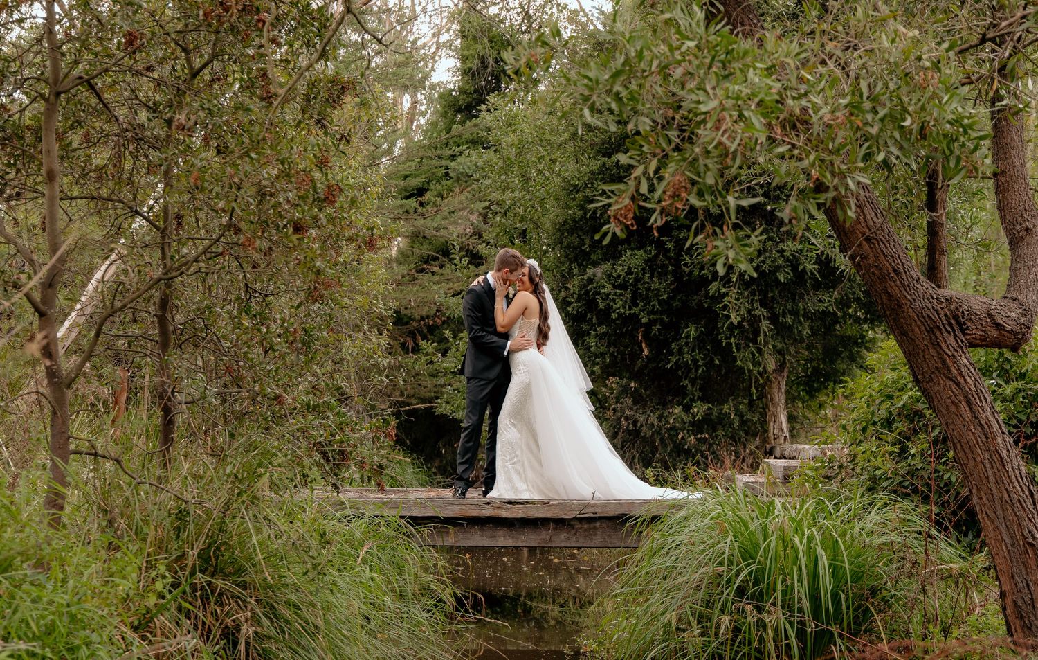 Scenic autumn landscape view with tall trees and lush greenery in a natural setting.