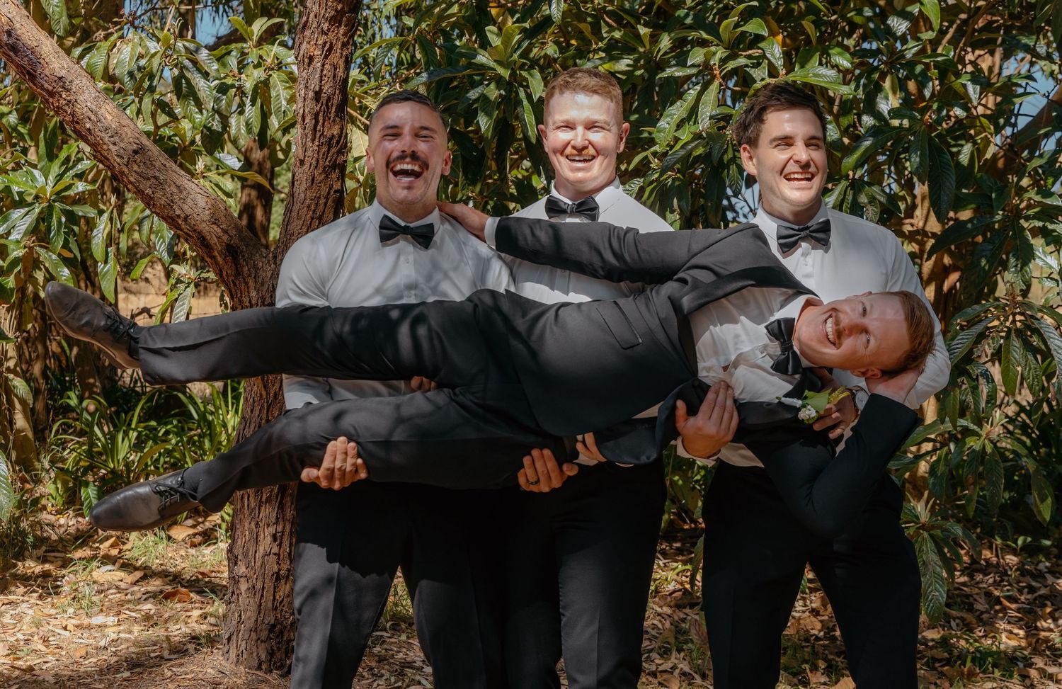 Three groomsmen in black tuxedos laughing while lifting the groom horizontally outdoors.