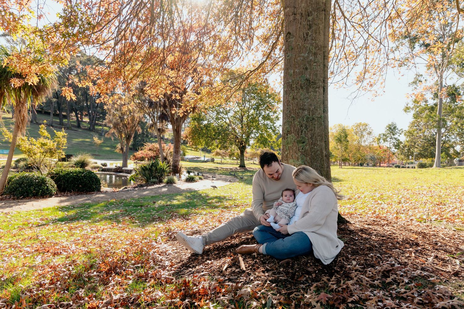 People enjoy playing in a pile of fallen autumn leaves under trees on a sunny afternoon.