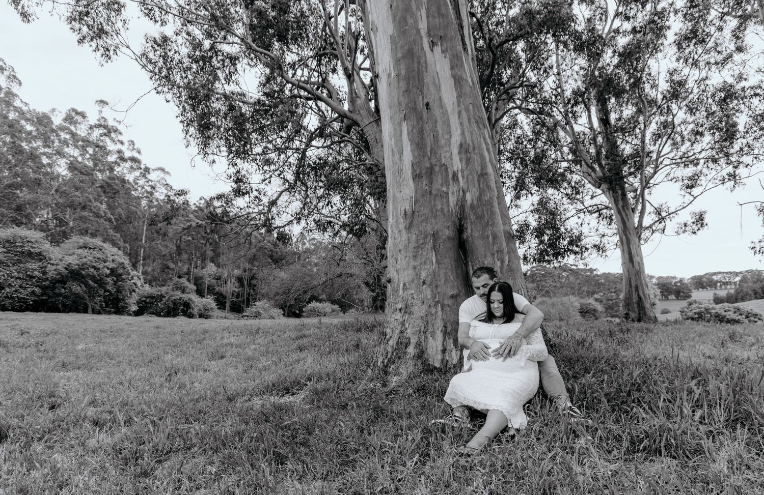 A series of black and white landscape photographs showing trees and natural scenery in a panoramic format.