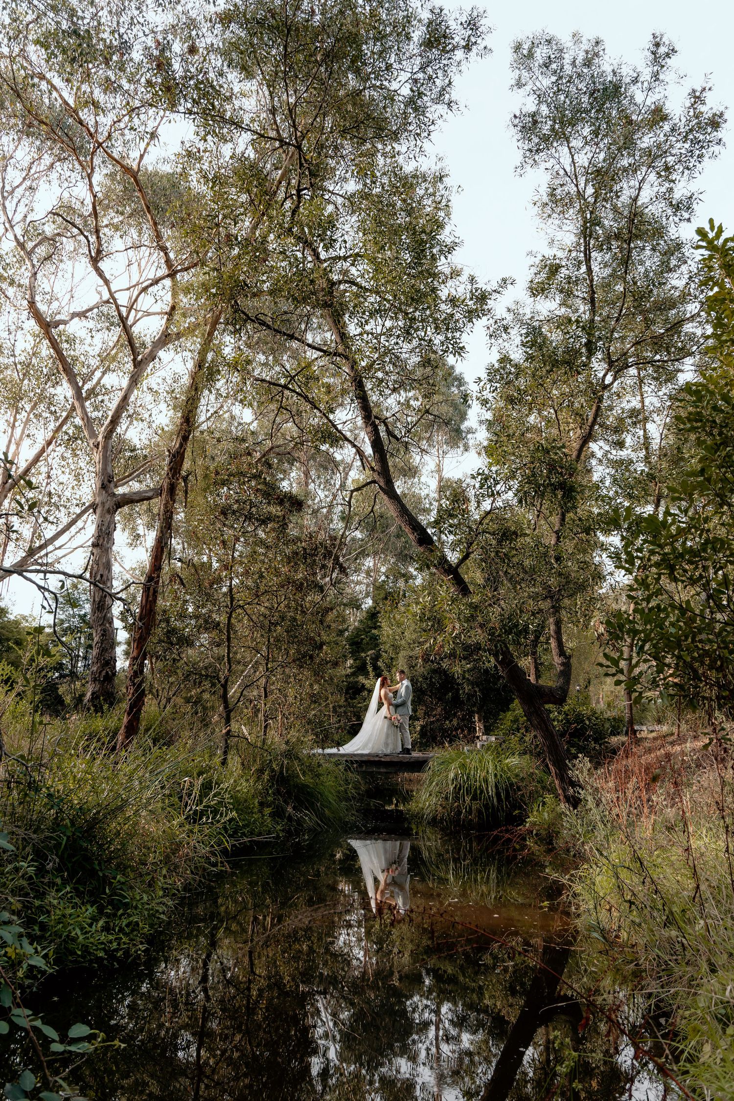A tranquil woodland pond reflects tall trees and vegetation while people celebrate a special moment on a small bridge.