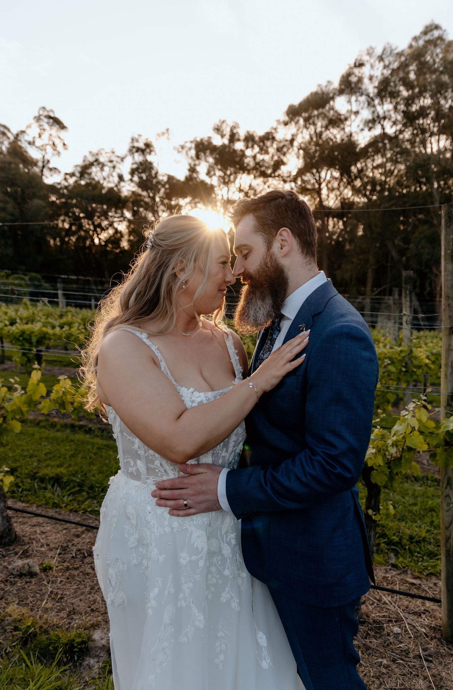 A romantic sunset moment in a vineyard with golden sunlight streaming through eucalyptus trees in the background.