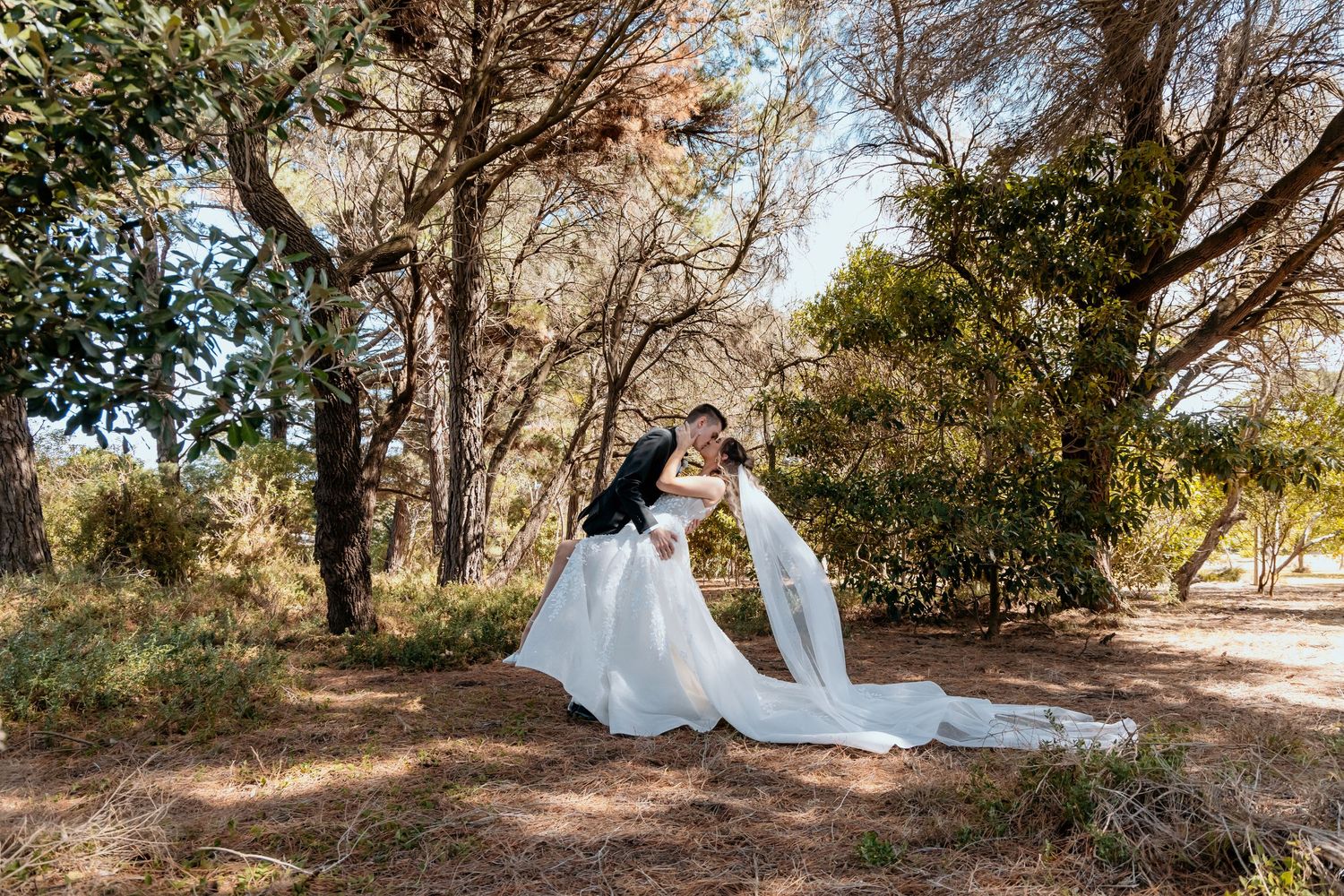 A romantic outdoor photo session captured at a scenic woodland location with tall trees and natural sunlight.