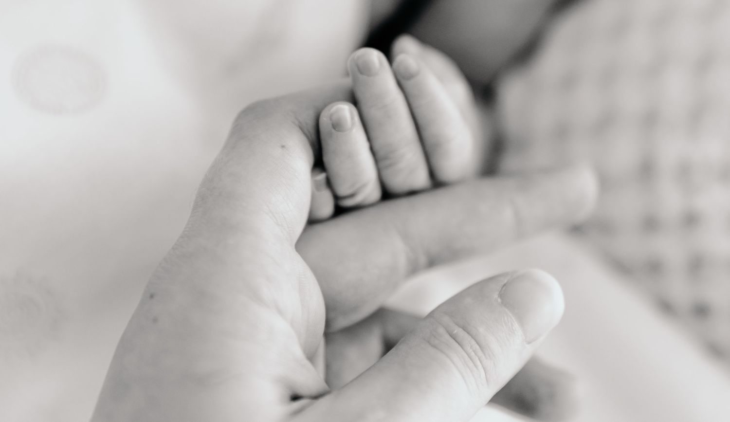 Close-up black and white image of baby's tiny hand holding adult finger.
