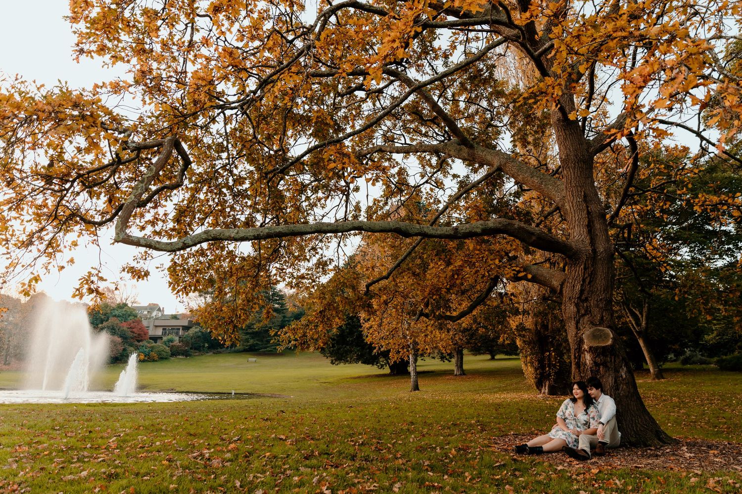 A park scene with autumn trees and a fountain visible in the background. Gippsland photographer. Melbourne photographer.