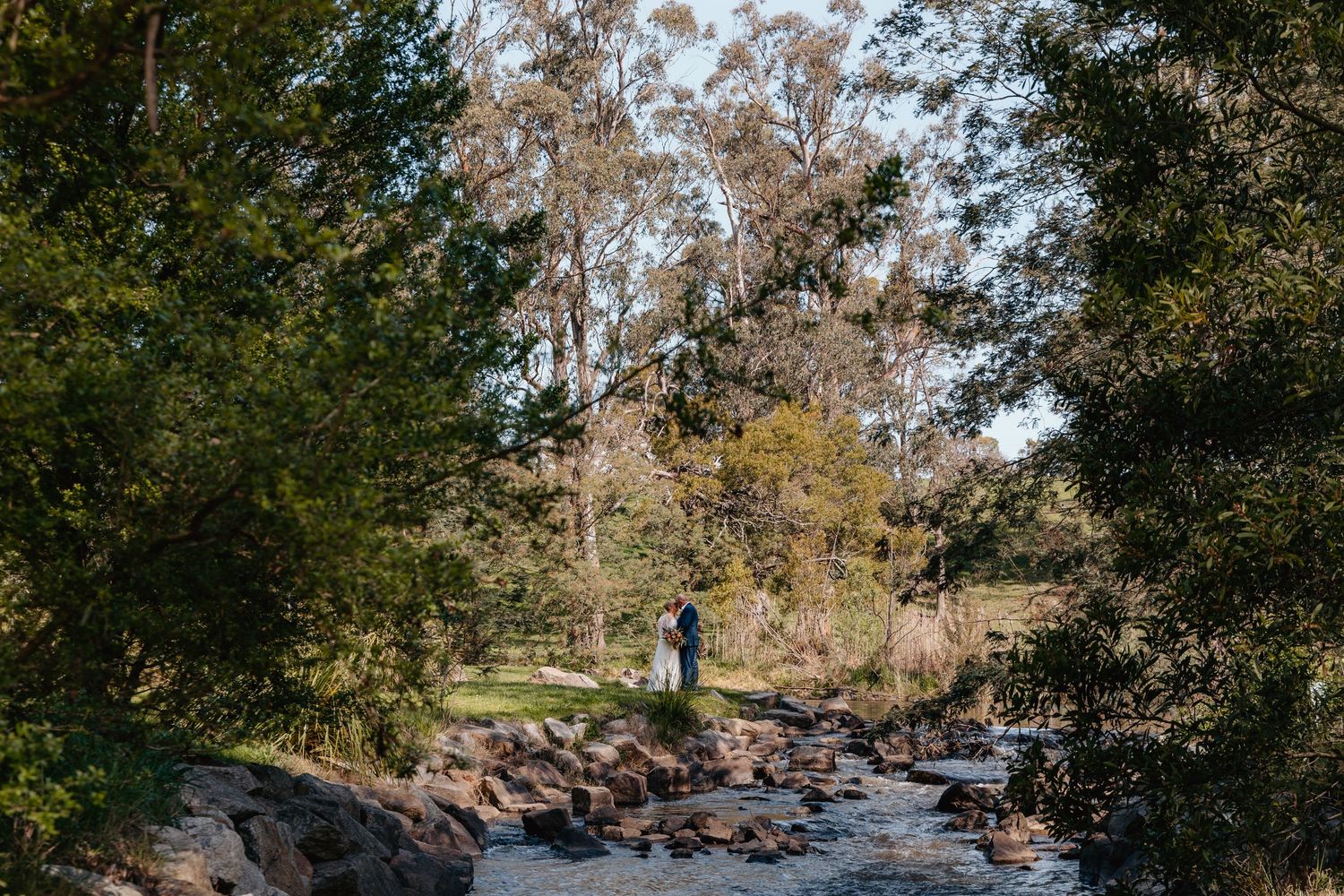 Scenic winding trail through a wooded park with tall trees and scattered rocks along the pathway.