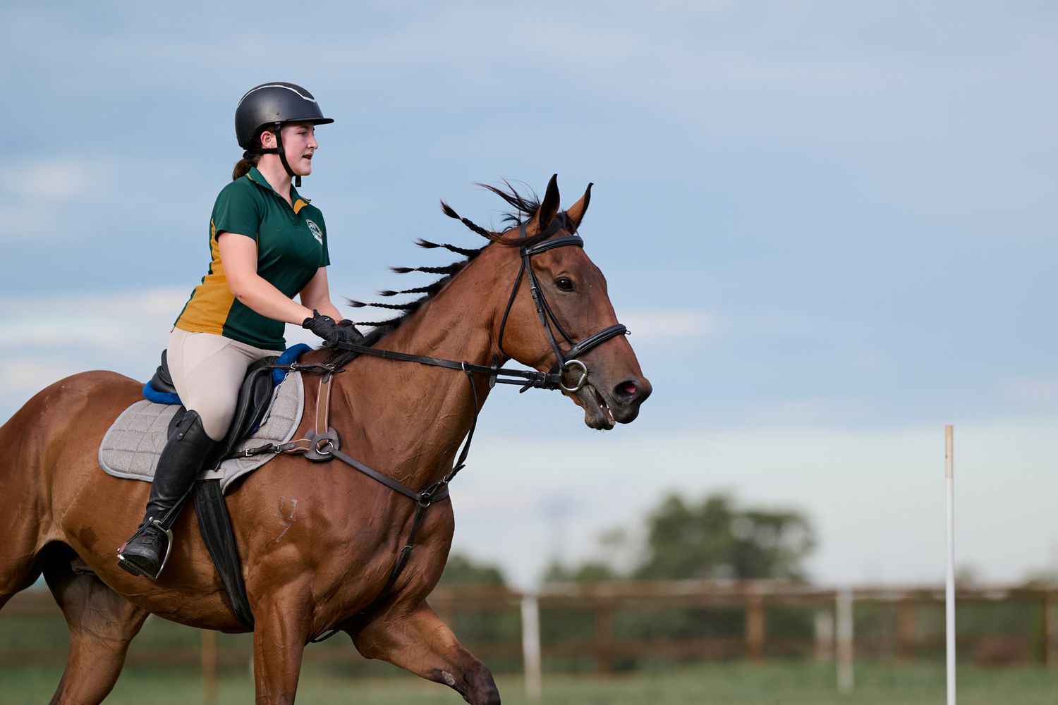 Equestrian rider in green jersey and helmet galloping on brown horse with braided mane against blue sky background.