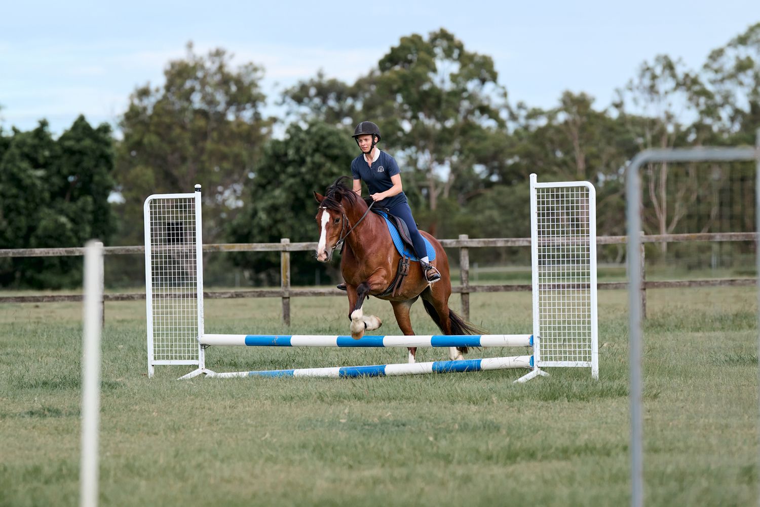 A rider guides their chestnut horse over a pole jump during an equestrian training session on a grassy field.