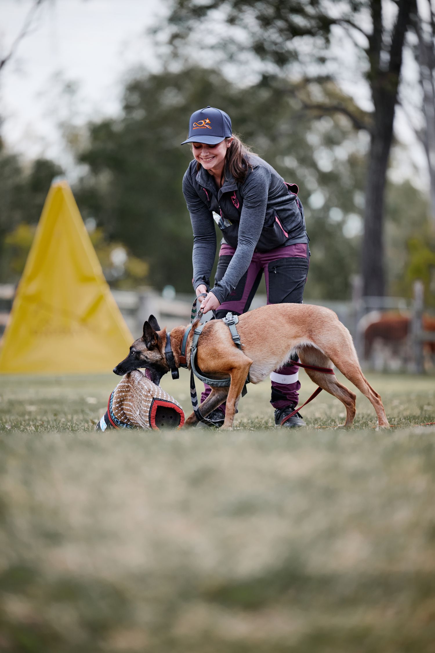 Dog trainer in athletic wear works with two dogs during outdoor training session near yellow marker on grass field.
