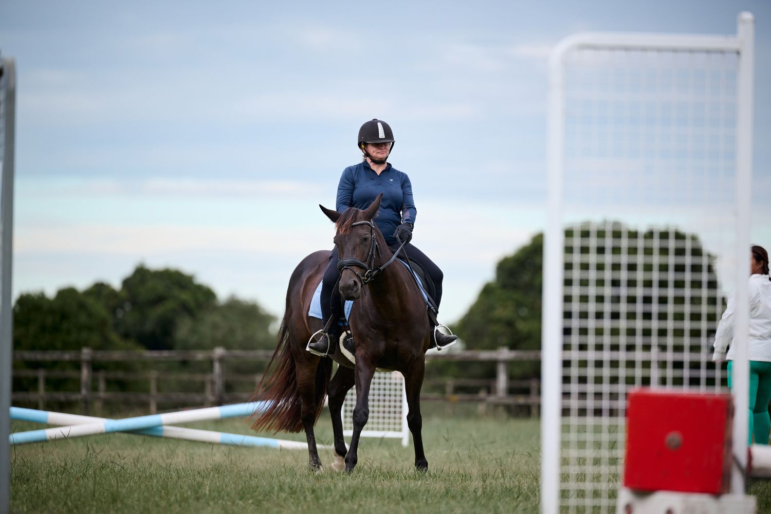 Equestrian rider in blue jacket navigates a dark brown horse around show jumping course on grass field.