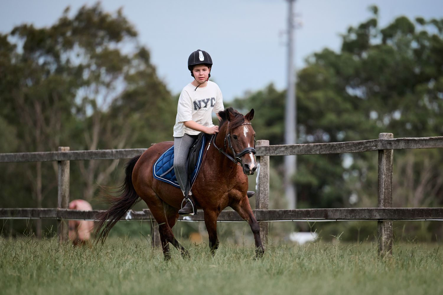 A rider in a white shirt and helmet practices horseback riding in an enclosed paddock on a brown horse.