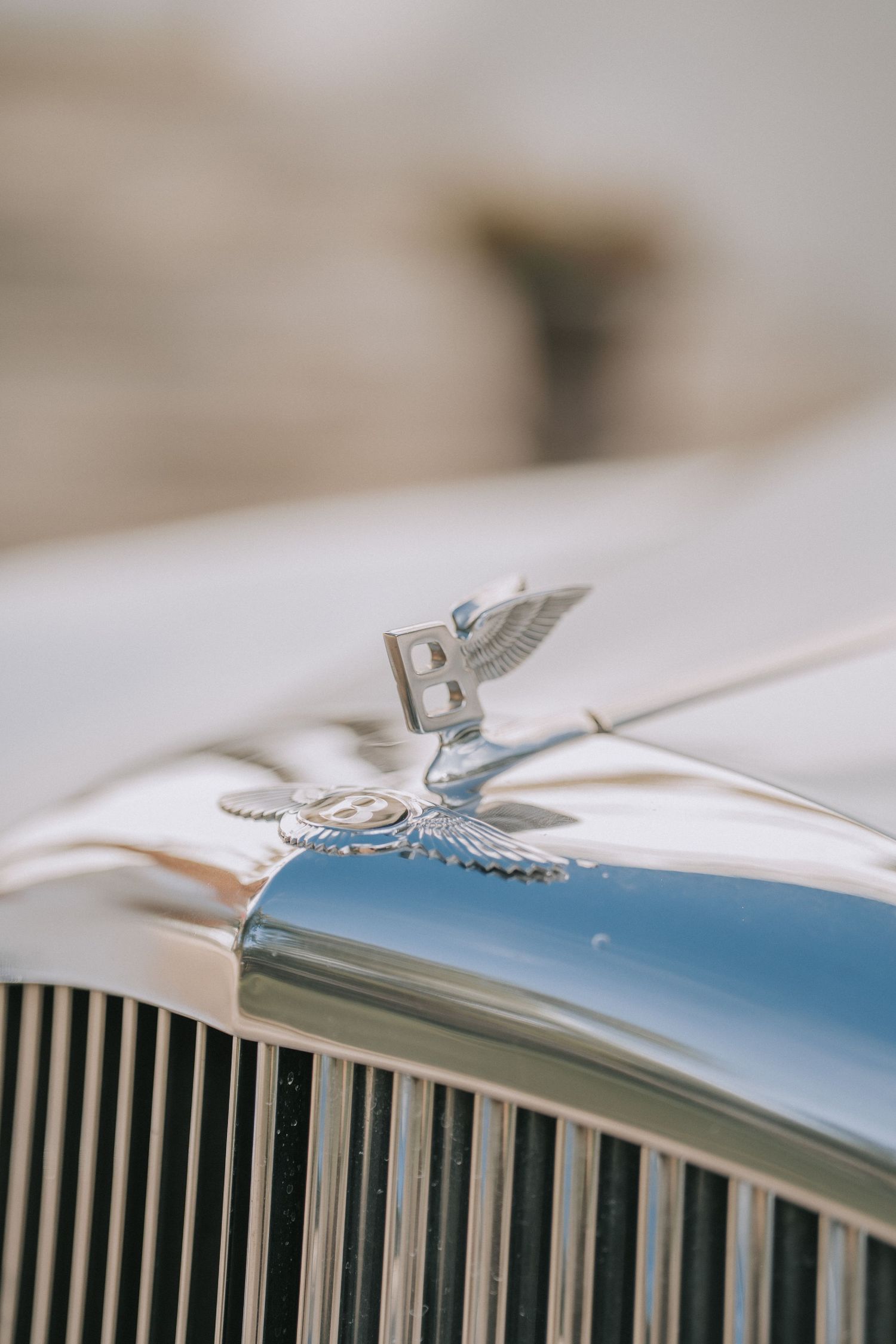 Close-up view of a classic Bentley hood ornament and chrome grille against a soft blurred background.