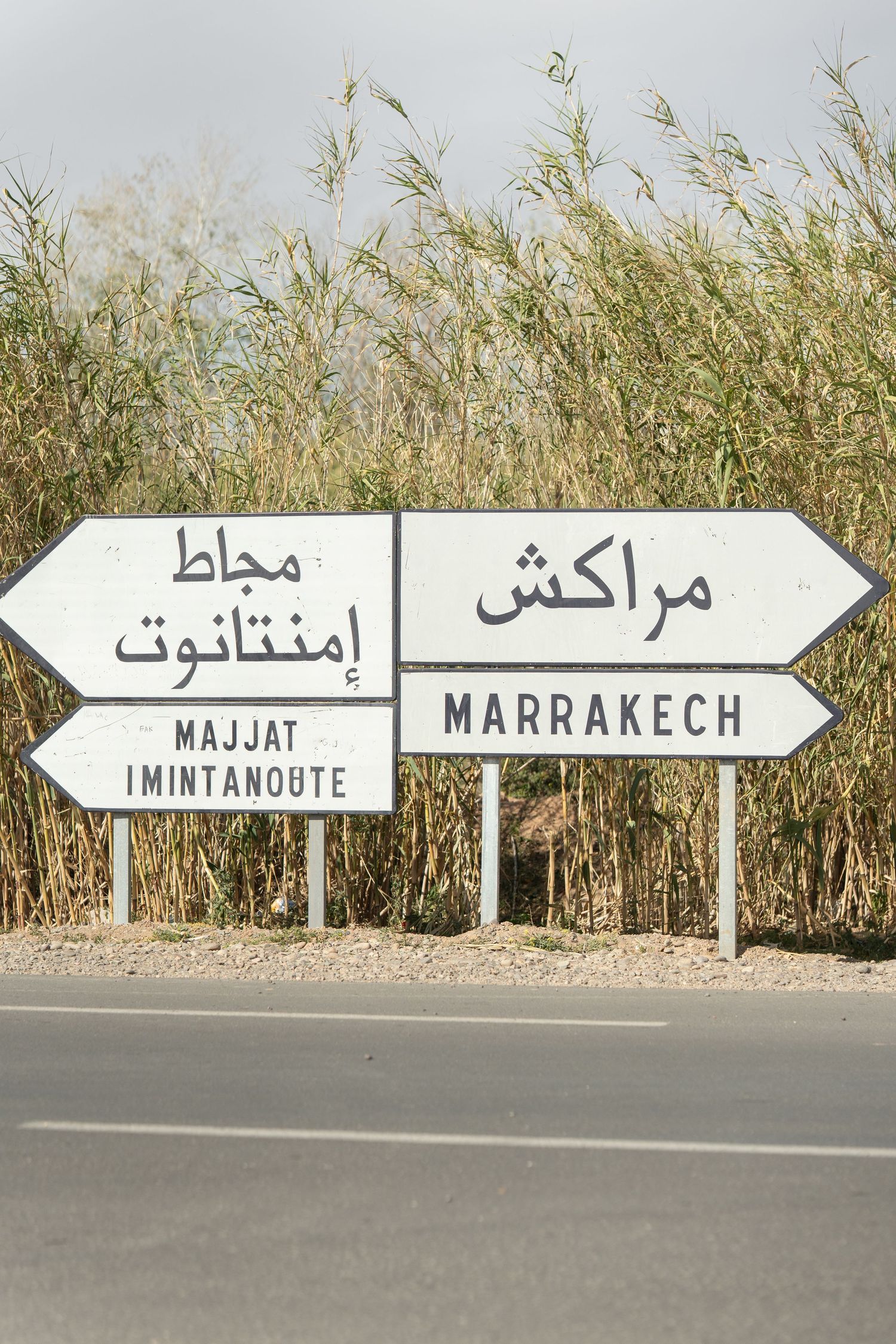 Road sign in Arabic and English pointing to Marrakech and Majjat Imintanoute against tall grass background.