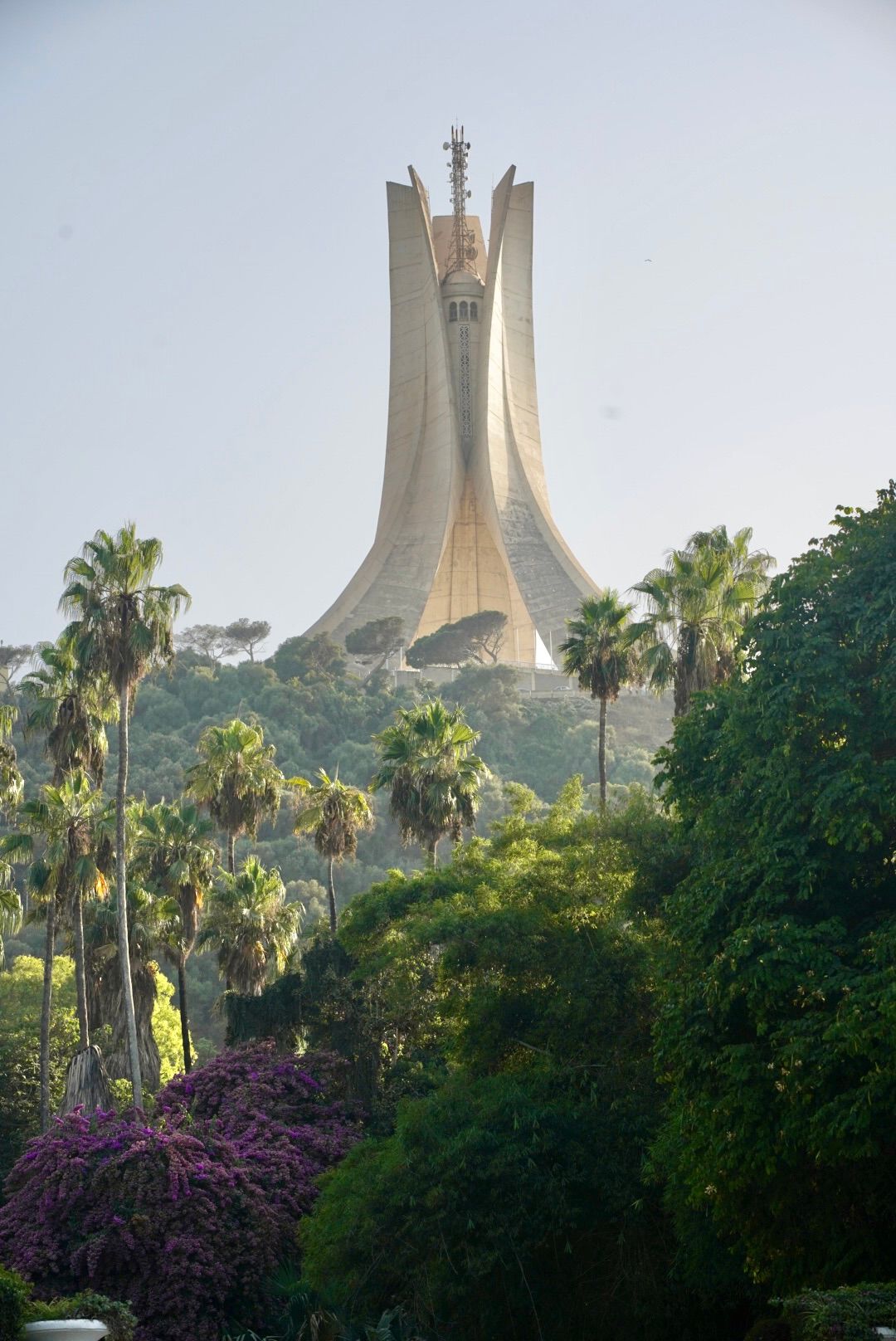 The Martyrs' Memorial monument in Algiers rises above palm trees and lush vegetation at sunset.