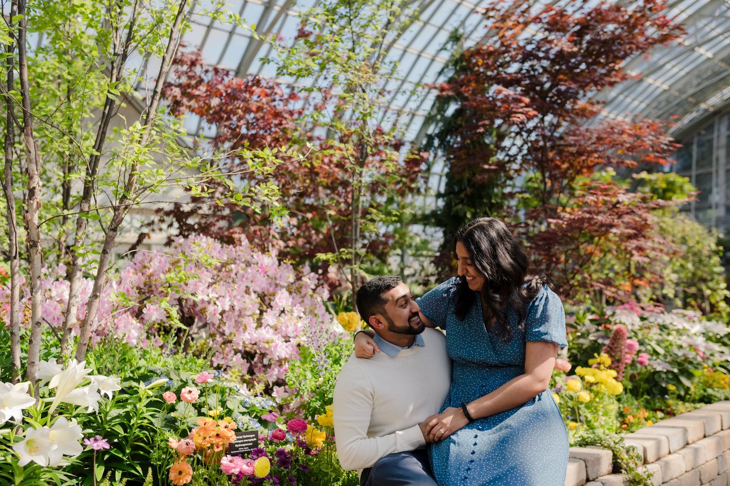 Spring greenhouse scene with blooming cherry blossoms and vibrant Japanese maple trees.