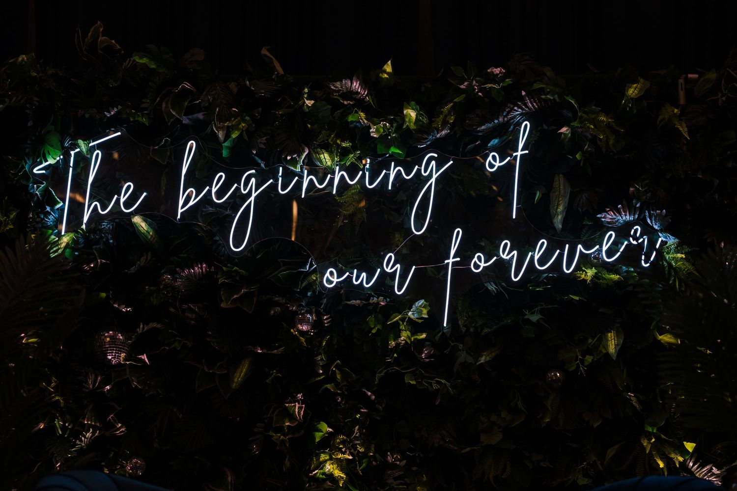 Neon cursive text reading 'The beginning of our forever' glows against a dark leafy background.