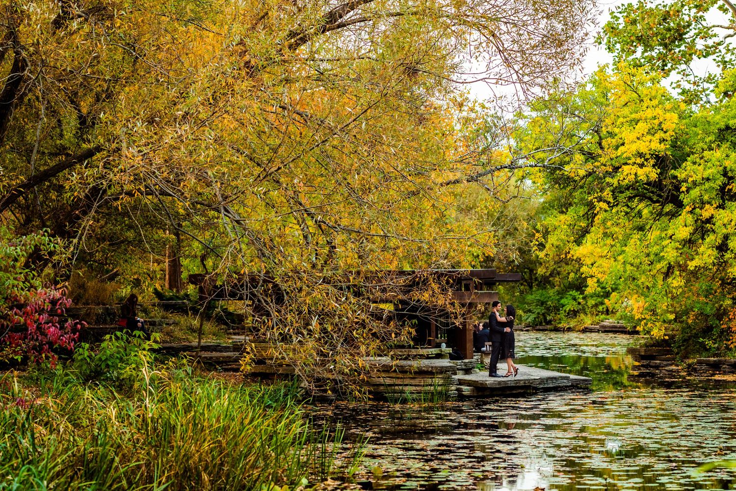 Beautiful autumn scene with golden leaves reflecting in a pond with stone steps.