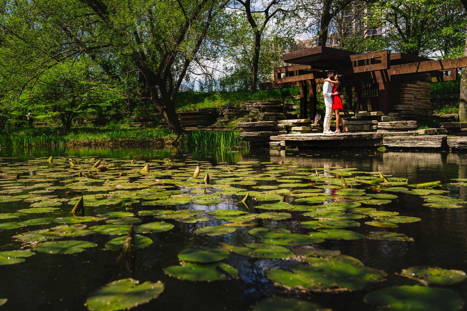 A tranquil pond with lily pads and wooden deck surrounded by lush greenery.