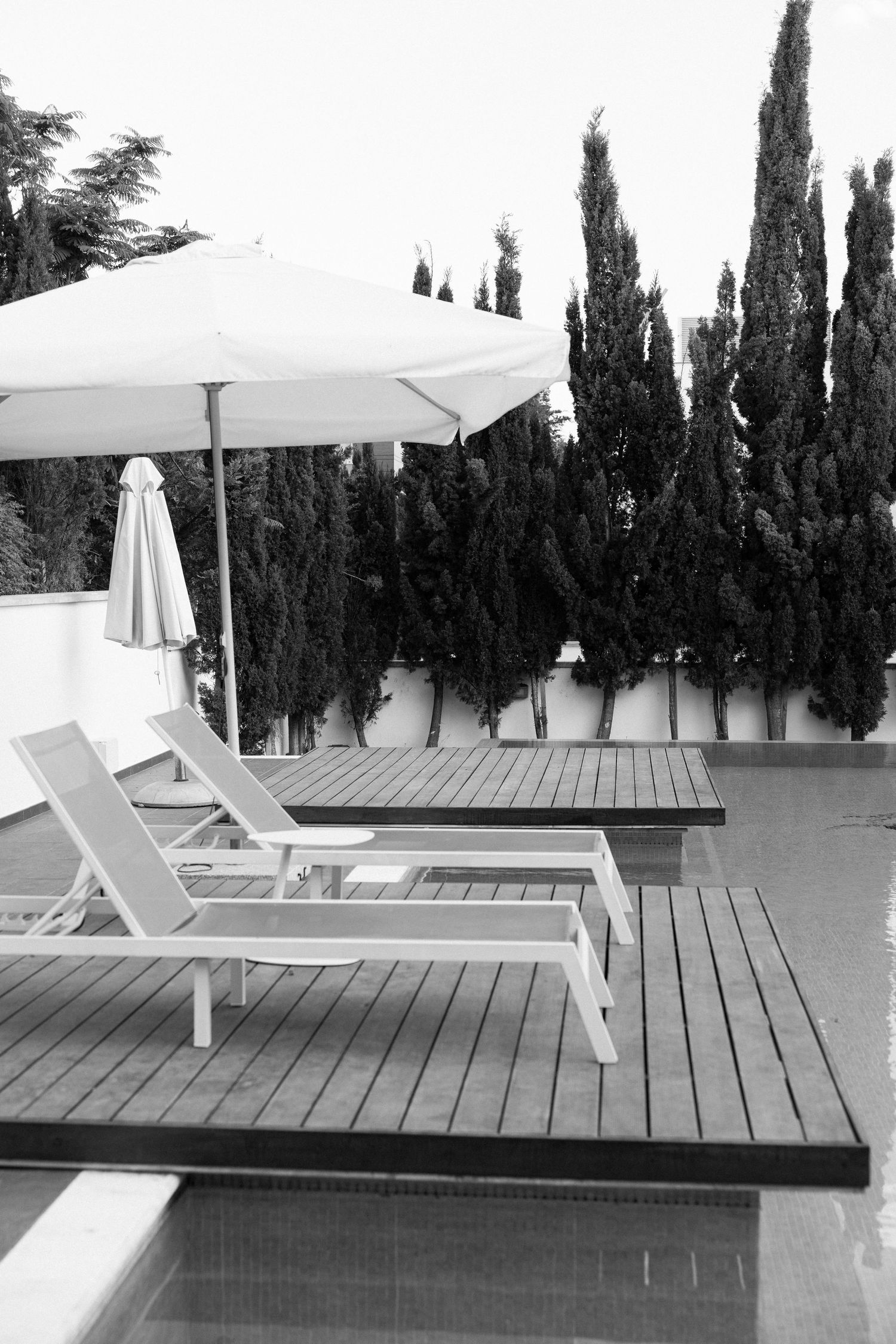 Black and white photo of pool lounge chairs and umbrellas with tall cypress trees in background.