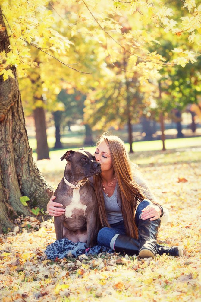 A pit bull and companion share a tender moment under golden autumn trees.