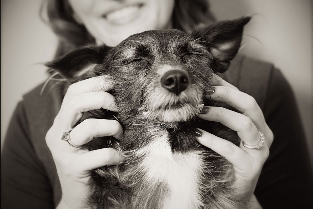 Small scruffy dog with wiry fur being held up close to the camera in black and white portrait.