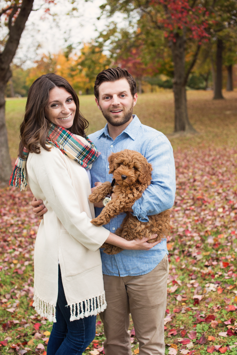 Couple holding cute brown goldendoodle puppy in autumn park with colorful fall foliage.