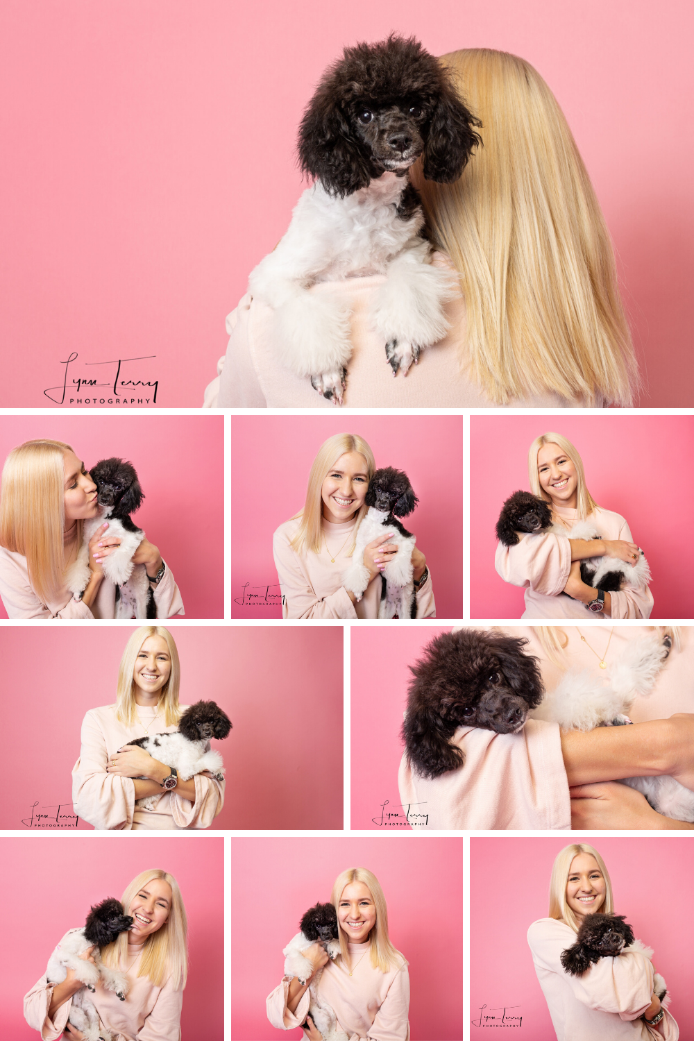 Portrait series of a black and white toy poodle against pink backdrop in studio setting.