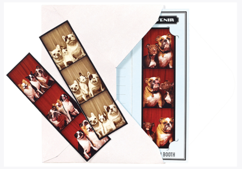 Multiple photo booth film strips showing dogs posing together against various backdrops.