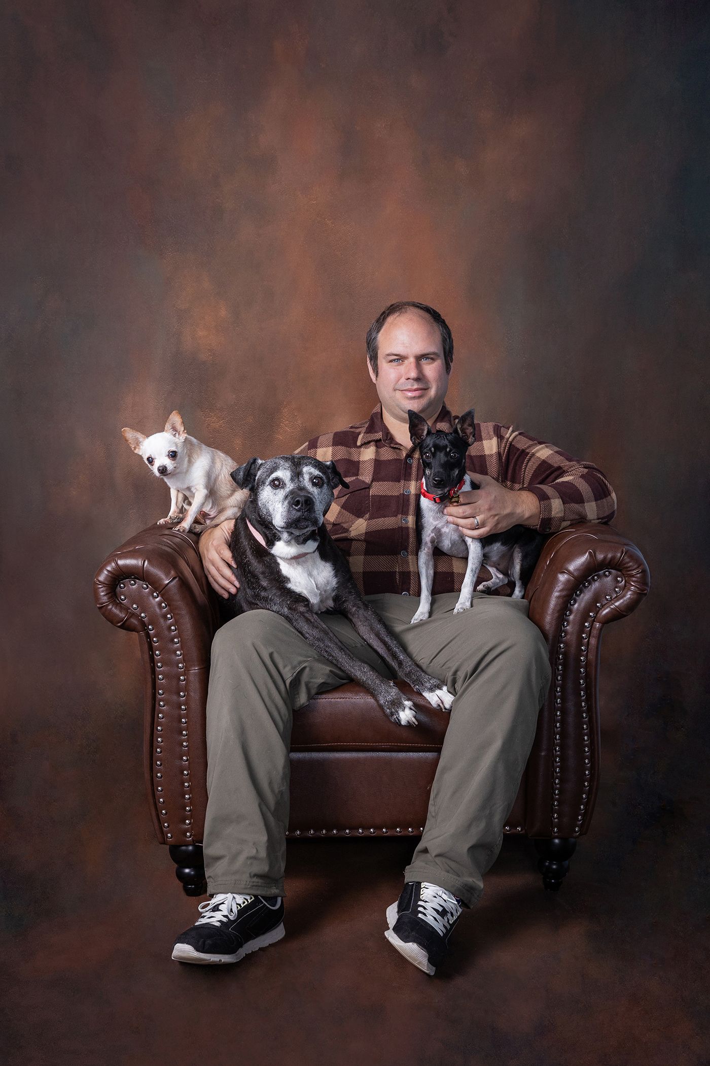 Man sitting in leather chair with three dogs, including a large gray dog and two small Chihuahuas, in a studio portrait.