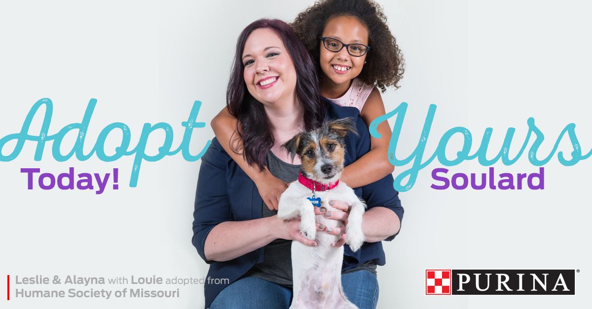 Two people holding small dog in Soulard adoption promotional campaign.