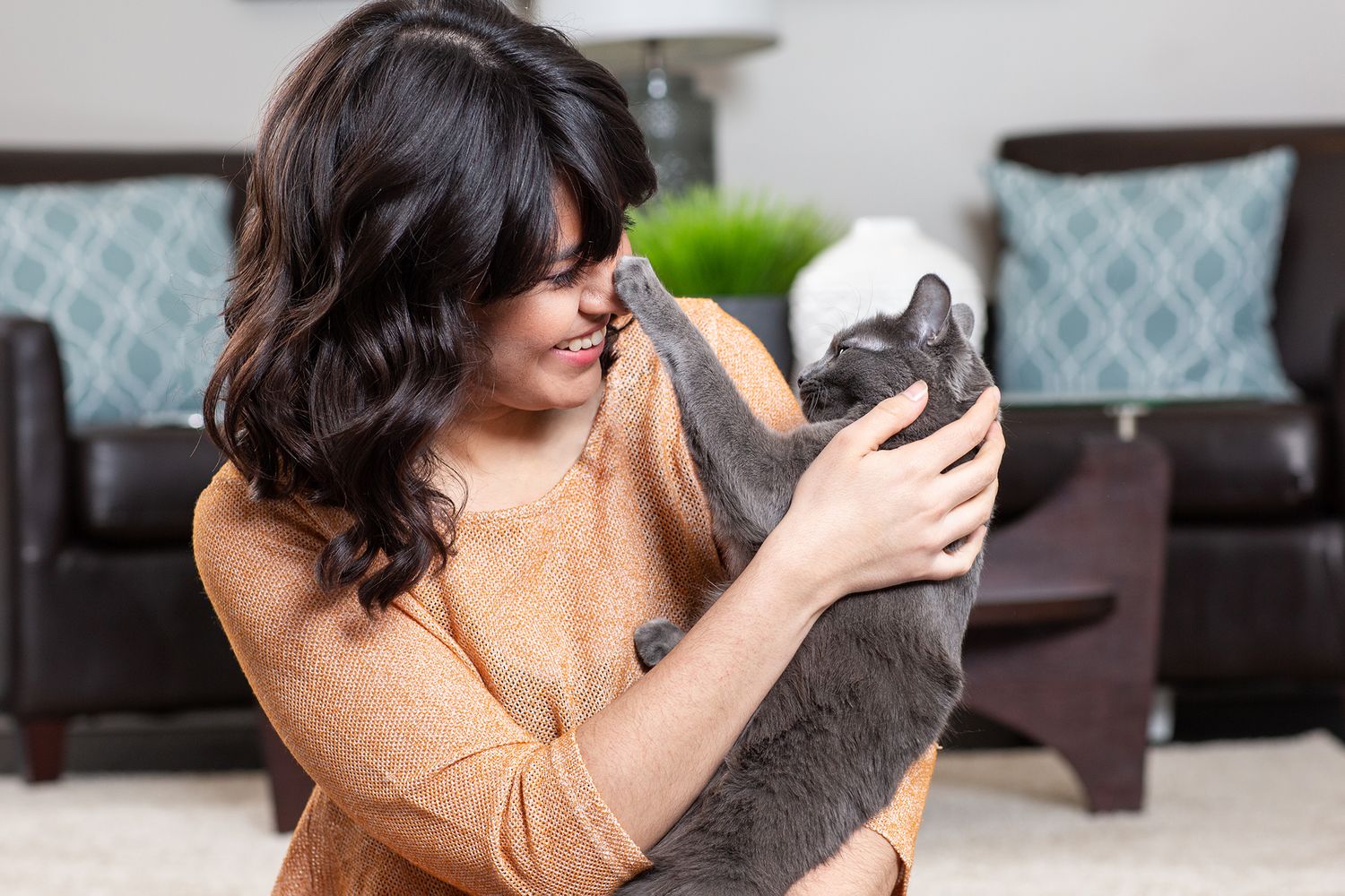 Sequence showing a person bonding with their grey cat in a modern living room setting.
