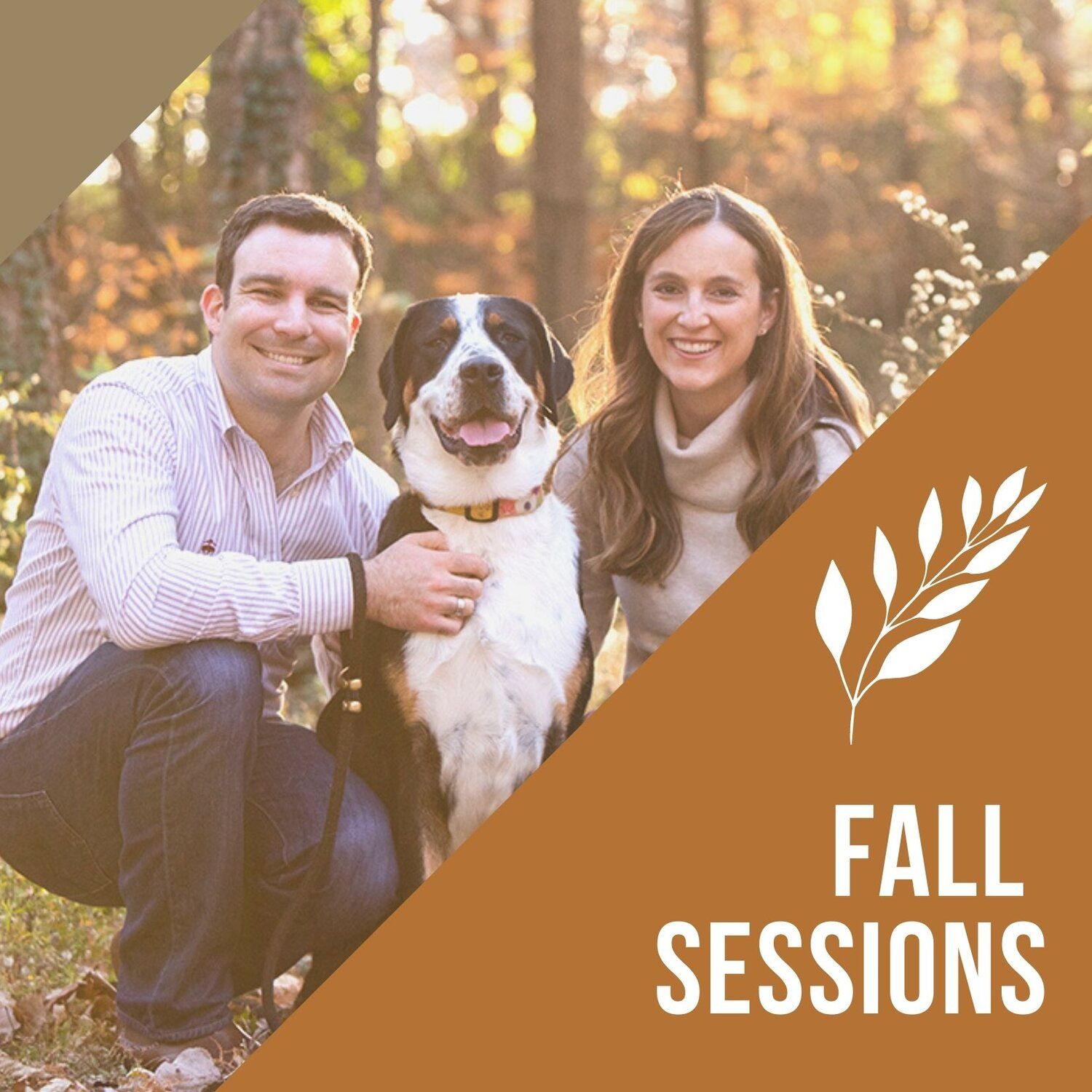 A couple and their two dogs pose together in a warm autumn setting during a professional photography session.