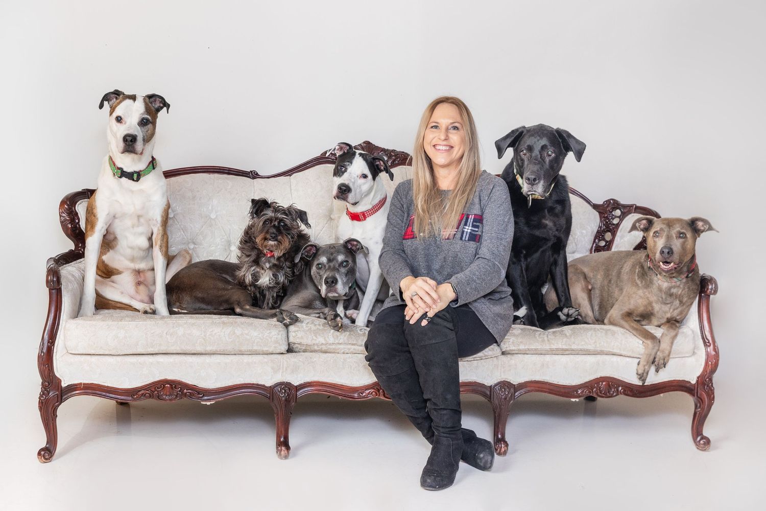 Woman sitting on vintage sofa surrounded by five dogs of various breeds in a professional studio photo shoot.