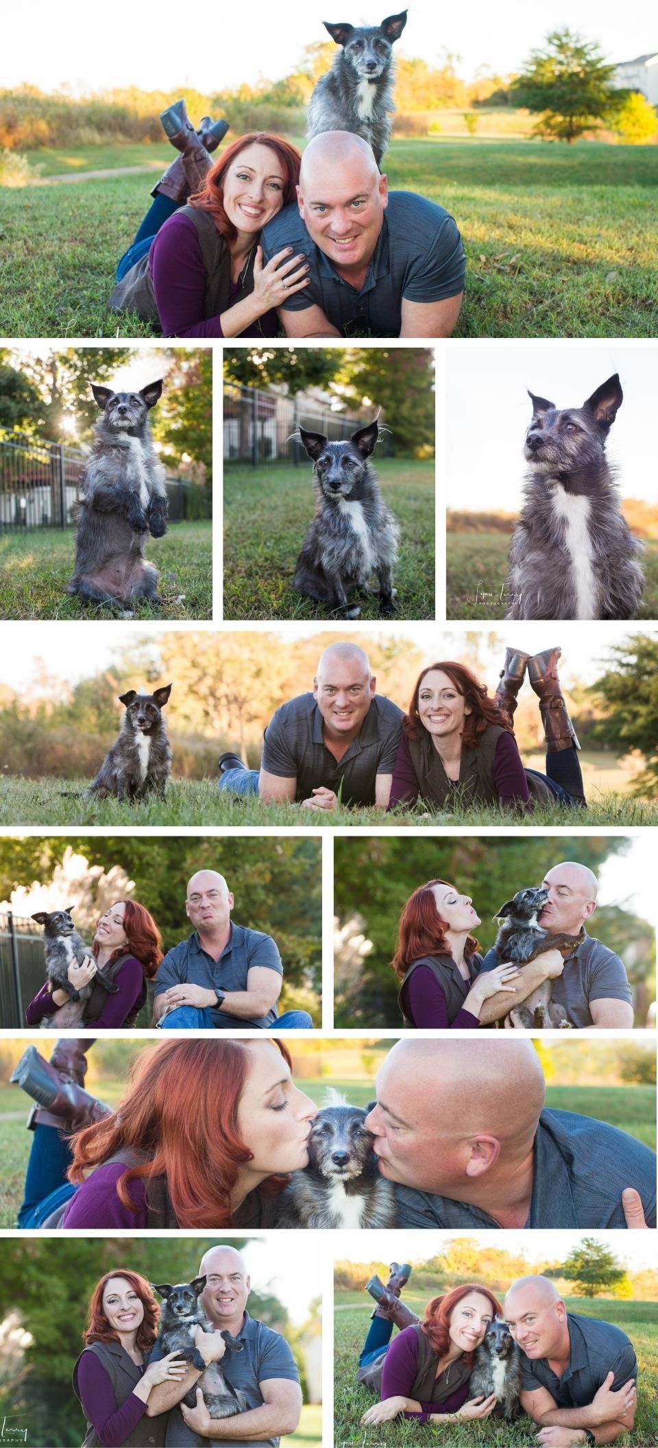 Couple and their gray dog pose for outdoor family photos on green grass in warm golden hour light.