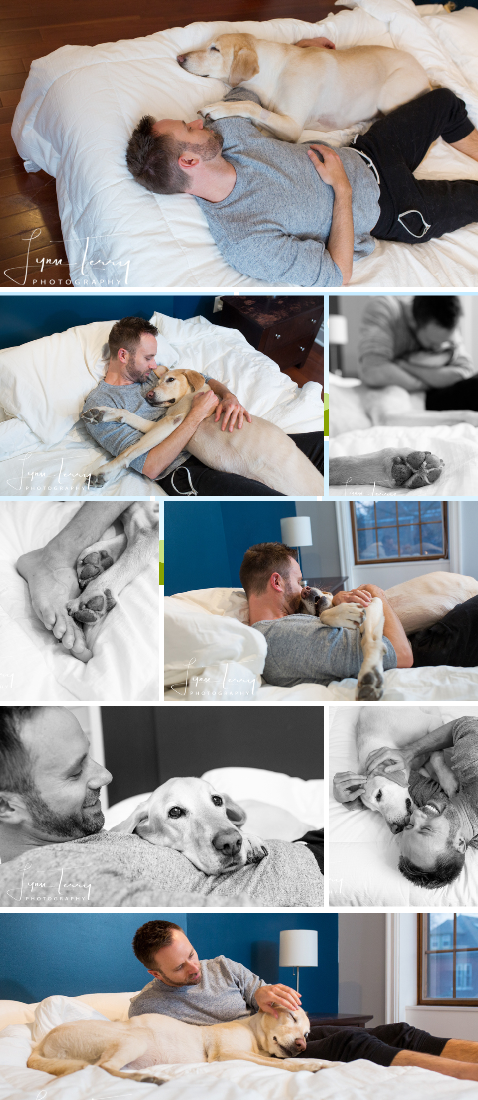 Man cuddling with yellow Labrador dog on white bed in cozy indoor lifestyle pet photography session.