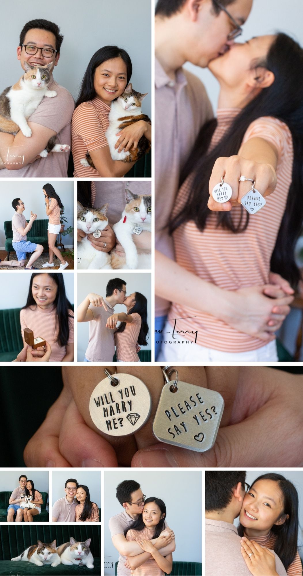 Engagement announcement photoshoot featuring a couple with their white cats and custom pet tag props.