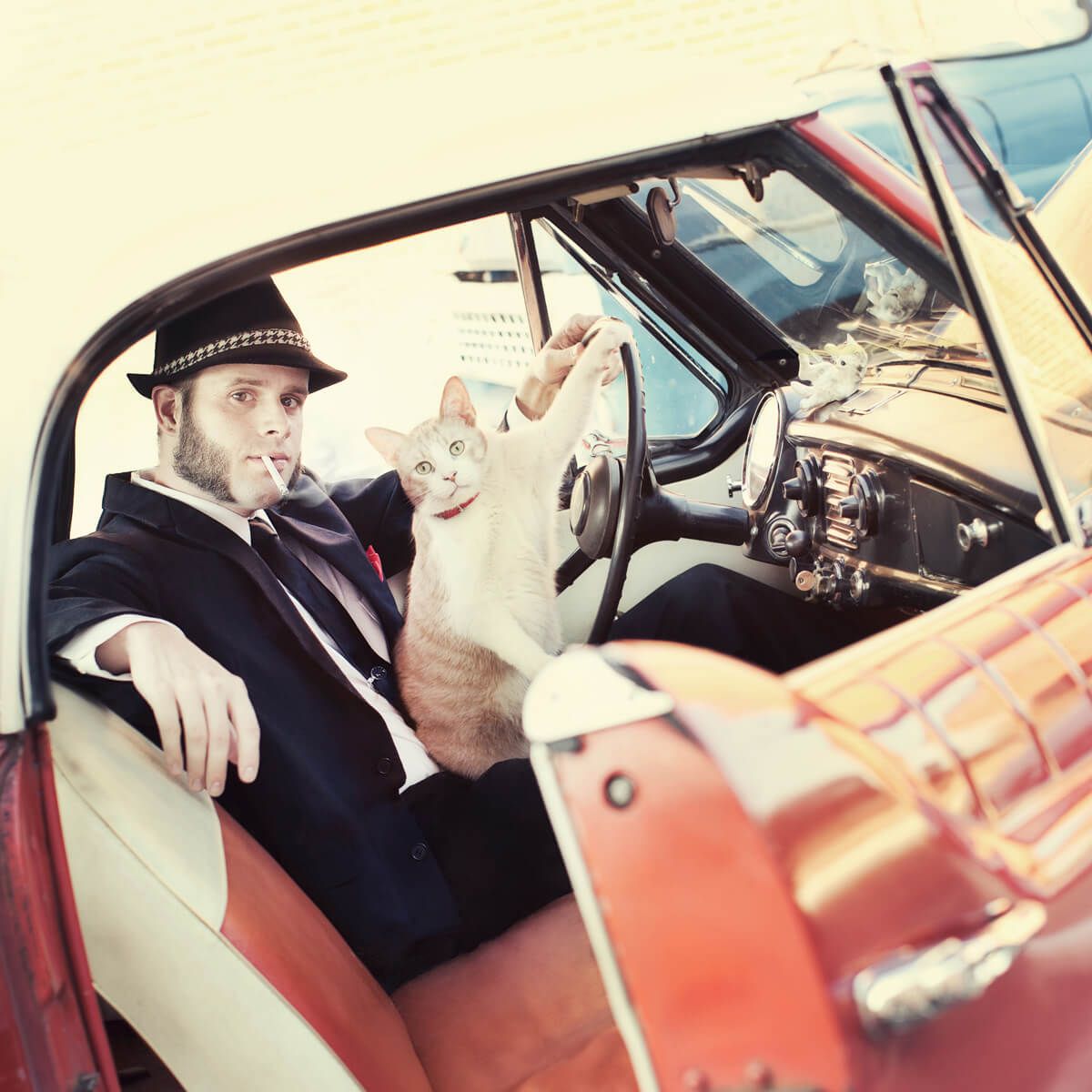 Well-dressed person in a vintage car with a white dog in the passenger seat.