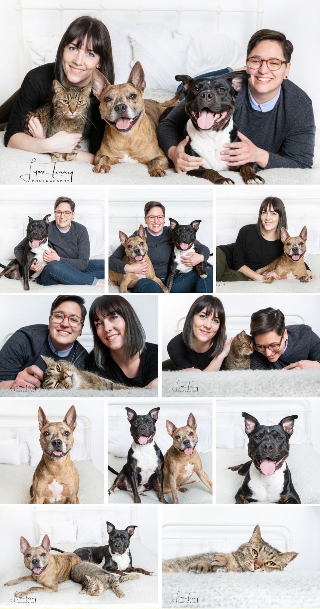 Collage of a couple posing with two pit bulls and a tabby cat in bright white studio family pet portraits.