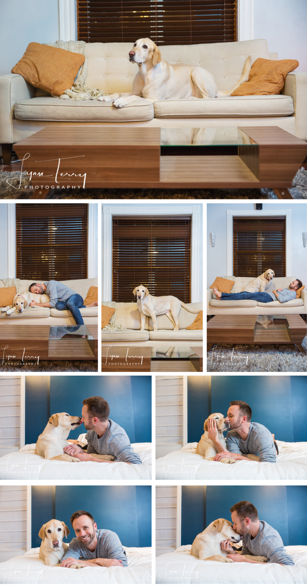 Lifestyle photos of a yellow Labrador and its owner relaxing at home on a beige couch and blue bed.