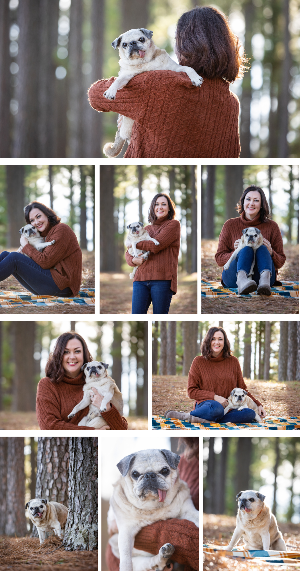 Woman in rust sweater holds pug dog in pine forest photo collage, including close-up portraits of the pug outdoors.