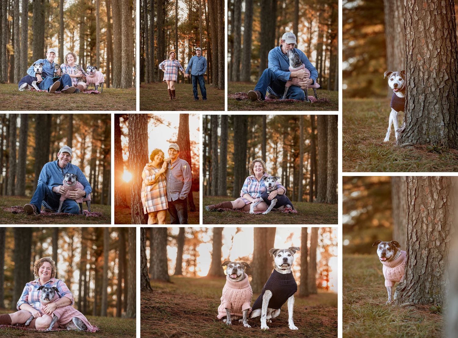 Family portrait collage in pine forest at golden hour with children, parents, and two dogs including a husky.