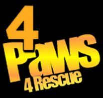 4 Paws 4 Rescue logo in orange and black text on dark background.